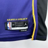 22-23 LAKERS JAMES JR. #9 Purple Top Quality Hot Pressing NBA Jersey (Trapeze Edition) 飞人版