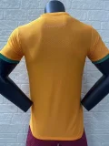 24-25 Ivory Coast   Home Player Version Soccer Jersey