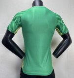 Manchester City Training clothing   Player Version Soccer Jersey