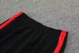 2023 AD Red Jacket Tracksuit #2303