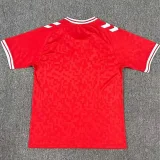 24-25 Denmark Home Fans Soccer Jersey