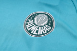 23-24 Palmeiras Green Training Short Suit #D796 (七分裤）