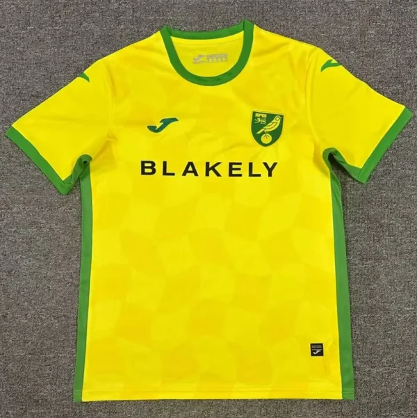 24-25 Norwich City Home Fans Soccer Jersey