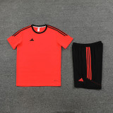 2023 AD02 Orange Training Short Suit