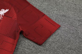 23-24 LIV Red Training Short Suit