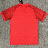 24-25 Bournemouth Red Special Edition Fans Soccer Jersey