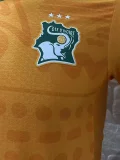 24-25 Ivory Coast   Home Player Version Soccer Jersey