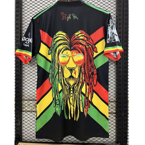 23-24 Ajax Special Edition Fans Soccer Jersey