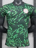 24-25 Nigeria Away Player Version Soccer Jersey