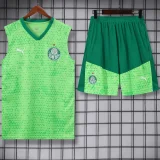 24-25 Palmeiras Light green Tank top and shorts suit