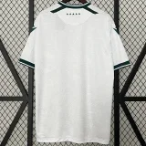 24-25 Santiago Wanderers Away Fans Soccer Jersey