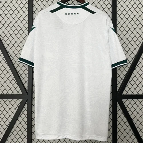 24-25 Santiago Wanderers Away Fans Soccer Jersey