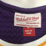 1998-99 LAKERS ROOMAN #73 Purple Retro Top Quality Hot Pressing NBA Jersey(圆领）