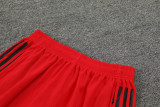 23-24 Flamengo White Training Short Suit