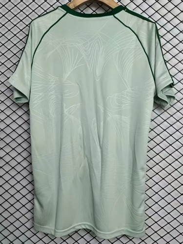 24-25 Celtic Light Green Special Edition Fans Soccer Jersey