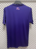 24-25 Algeria Purple Special Edition Fans Soccer Jersey