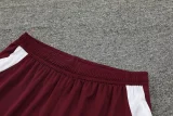 24-25 Bayern Dark red Training Short Suit