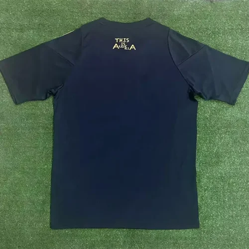 24-25 Algeria Black Special Edition Fans Training shirts