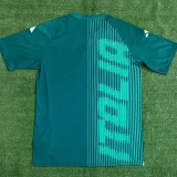 24-25 Italy Green Training shirts