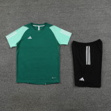 2023 AD03 Green Training Short Suit