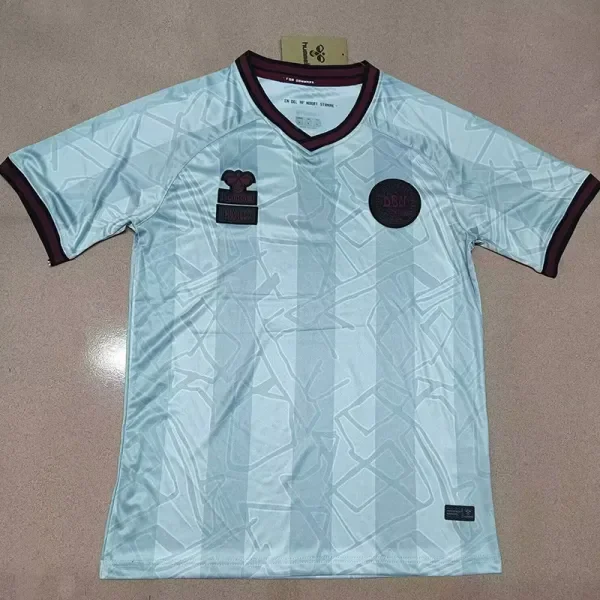 24-25 Denmark HALO Grey Special Edition Fans Soccer Jersey