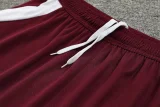 24-25 Bayern Dark red Training Short Suit