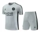 23-24 BAR Grey Training Short Suit