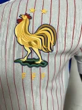 24-25 France Away Player Version Soccer Jersey
