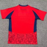 25-26 Independiente Medellin Home Fans Soccer Jersey