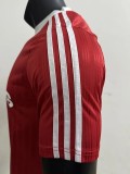 2025 AD Casual Red Player Version Training shirts *三叶草
