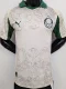 25-26 Palmeiras Special Edition Player Version Soccer Jersey