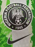 25-26 Nigeria Green White Player Version Soccer Jersey