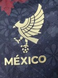 25-26 Mexico Special Edition Player Version Soccer Jersey