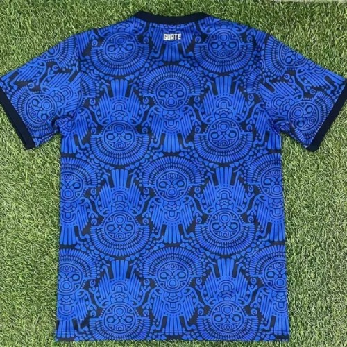 25-26 Guatemala Blue Training shirts