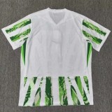 25-26 Nigeria Green White Fans Soccer Jersey