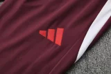 25-26 Bayern Brown Red Polo Tracksuit
