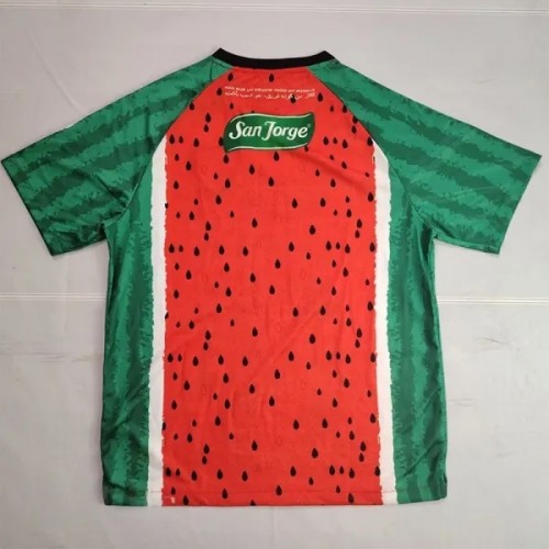 25-26 Deportivo Palestino Special Edition Third Fans Soccer Jersey