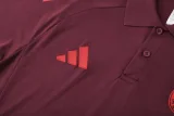 25-26 Bayern Brown Red Polo Tracksuit
