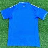 25-26 ARS Blue Special Edition Fans Training shirts