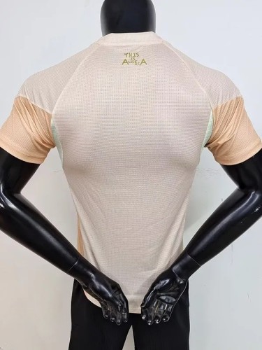 25-26 Algeria Khaki Player Version Training shirts #A38卡其