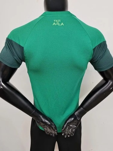 25-26 Algeria Green Player Version Training Shirts #A38