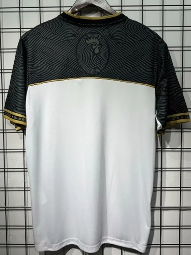 25-26 Atetico Mineiro Special Edition Fans Soccer Jersey