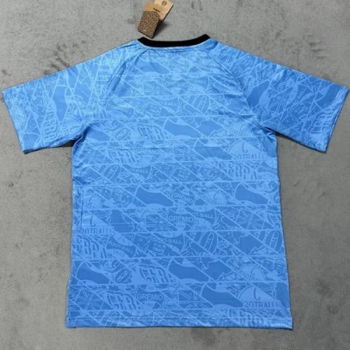 25-26 Gremio Sky Blue Training Shirts