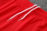 25-26 Bayern Red Training Short Suit