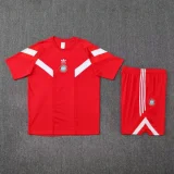25-26 Bayern Red Training Short Suit