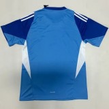 25-26 JUV Blue Goalkeeper Soccer Jersey