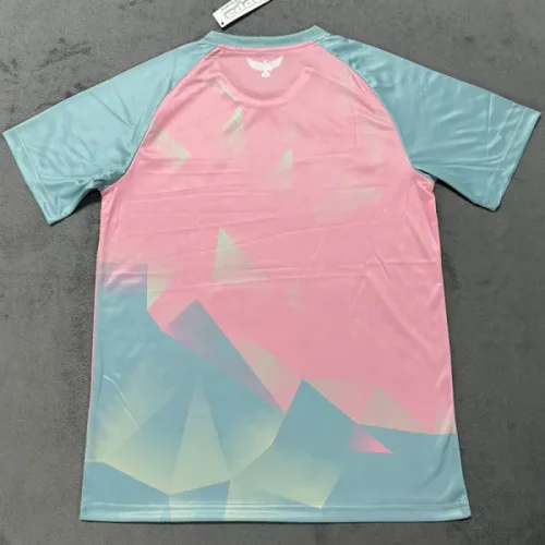 25-26 Tunisia Blue Pink Special Edition Trainingshirts 突尼斯