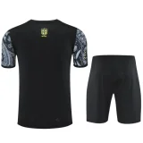 25-26 Brazil Grey Training Short Suit