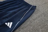 2025 AD Royal blue Jacket Tracksuit #C2502