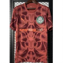 25-26 Palmeiras Red Goalkeeper Soccer Jersey